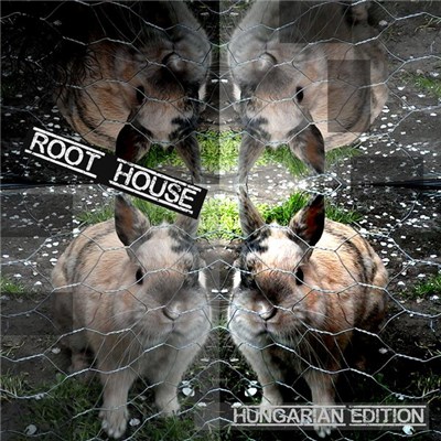 Roothouse - Root House - Hungarian Edition download mp3 flac