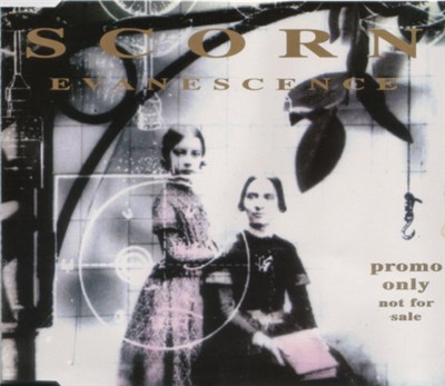 Scorn - Evanescence download mp3 flac