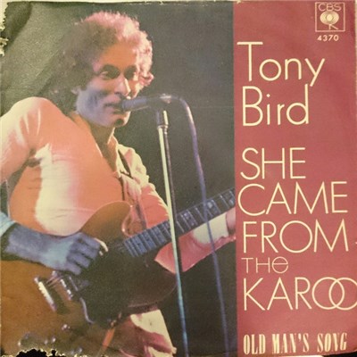 Tony Bird - She Came From The Karoo download mp3 flac