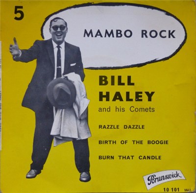 Bill Haley And His Comets - Rock With Bill download mp3 flac