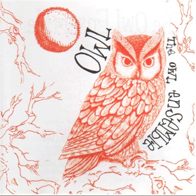 The Owl Ensemble - Owl download mp3 flac