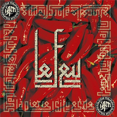 IAM - Le Feu download mp3 flac