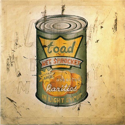 Toad The Wet Sprocket - In Light Syrup download mp3 flac