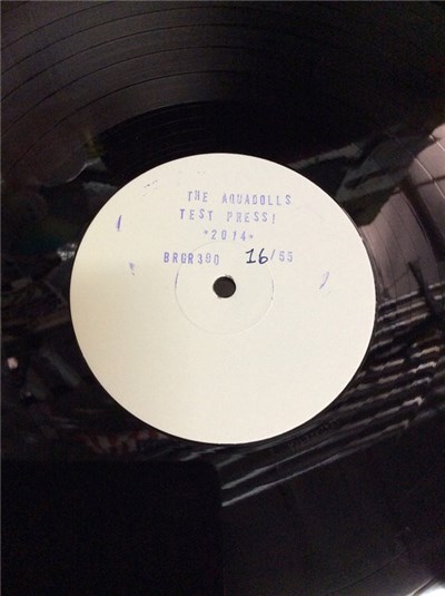 The Aquadolls - Stoked On You download mp3 flac