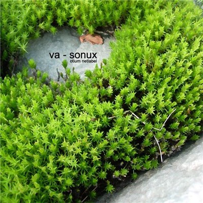 Various - Sonux download mp3 flac