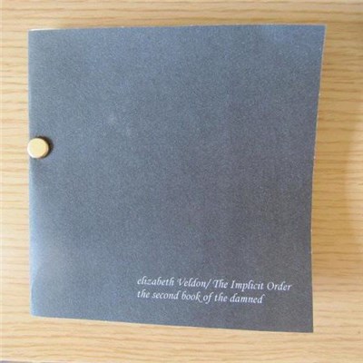 elizabeth Veldon / The Implicit Order - The Second Book Of The Damned download mp3 flac