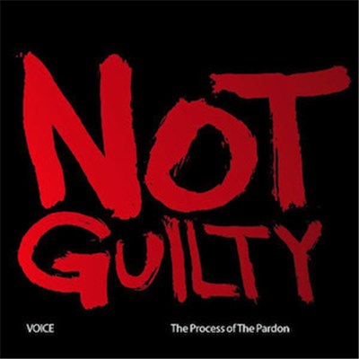 Voice - The Process Of The Pardon download mp3 flac
