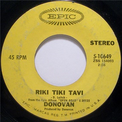 Donovan - Riki Tiki Tavi download mp3 flac