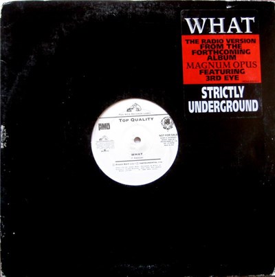 Top Quality - What download mp3 flac