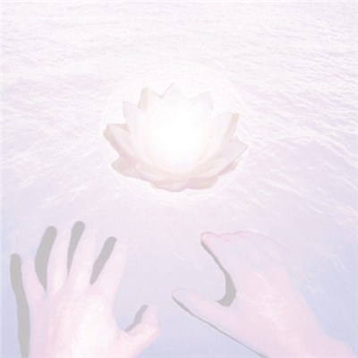 Dolphins Into The Future - The Music Of Belief download mp3 flac
