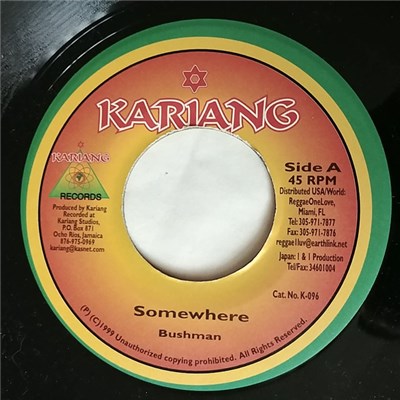 Bushman - Somewhere download mp3 flac