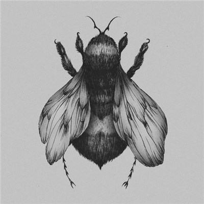 Irk - Bread And Honey download mp3 flac