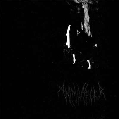 Animo Aeger - Impuls download mp3 flac
