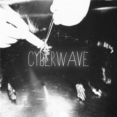Cyberwave - The Angst Of Aniwye download mp3 flac