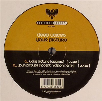 Deep Voices - Your Picture download mp3 flac