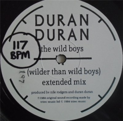 Duran Duran - The Wild Boys (Wilder Than Wild Boys) download mp3 flac