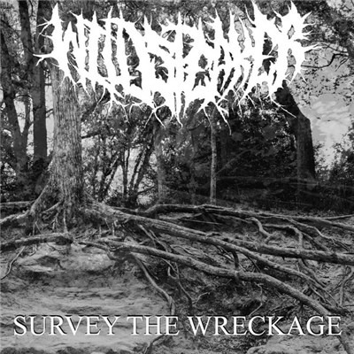 Wildspeaker - Survey The Wreckage download mp3 flac