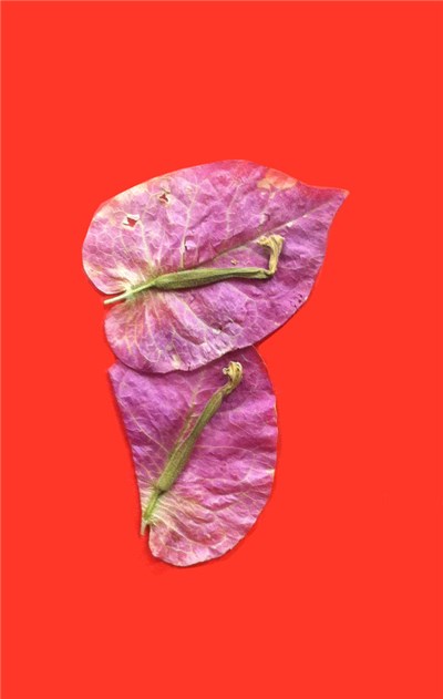 Dolce - Give A Yes download mp3 flac