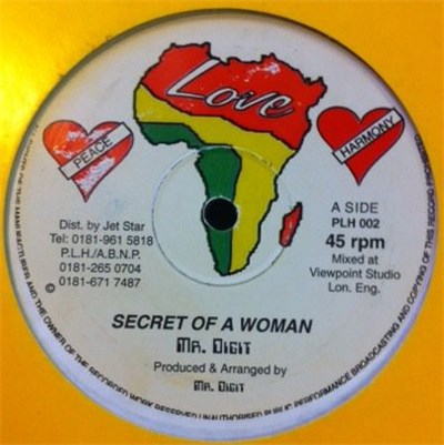 Mr. Digit - Secret Of A Woman download mp3 flac