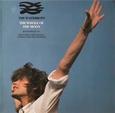 The Waterboys - The Whole Of The Moon download mp3 flac