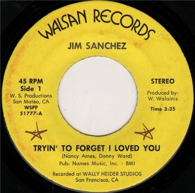 Jim Sanchez - Tryin' To Forget I Loved You / Lo Siento Mi Vida download mp3 flac