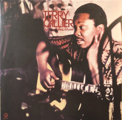 Terry Callier - I Just Can't Help Myself download mp3 flac