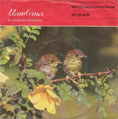 Unknown Artist - Mein Schimmel Wartet Im Himmel / Skip Du-Bi-Du download mp3 flac
