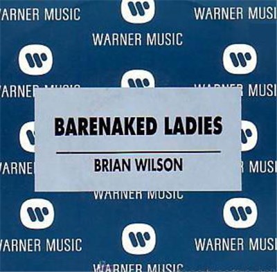 Barenaked Ladies - Brian Wilson download mp3 flac