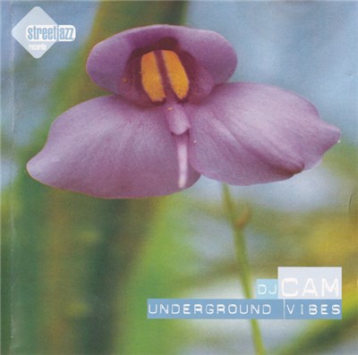 DJ Cam - Underground Vibes download mp3 flac