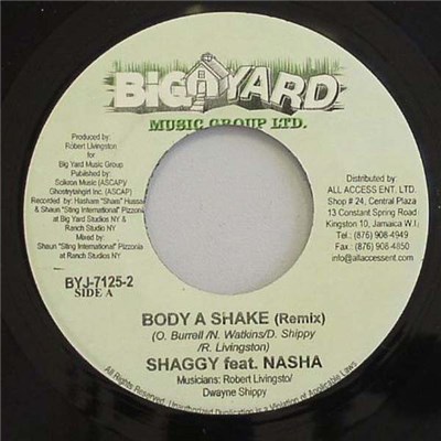 Shaggy - Body A Shake / Bad Man Don't Cry download mp3 flac