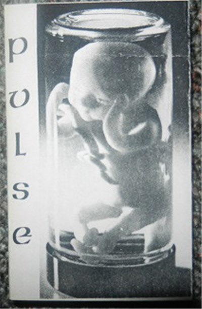 Pulse - Pulse download mp3 flac