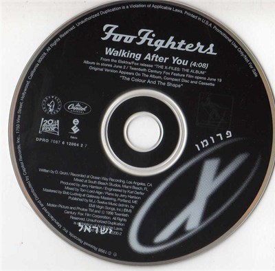 Foo Fighters - Walking After You download mp3 flac