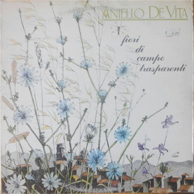 Aniello De Vita - Fiori Di Campo Trasparenti download mp3 flac