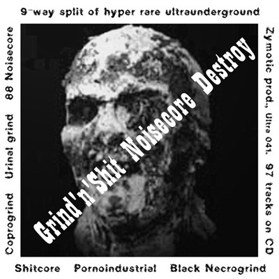 Various - Grind'N'Shit Noisecore Destroy download mp3 flac