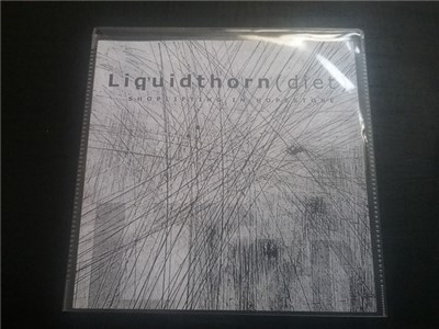 Liquidthorn (diet) - Shoplifting In Hopestore download mp3 flac