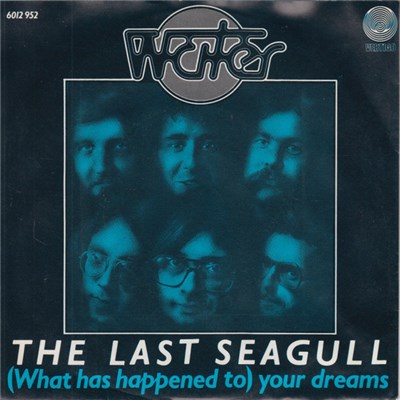 Water - The Last Seagull download mp3 flac