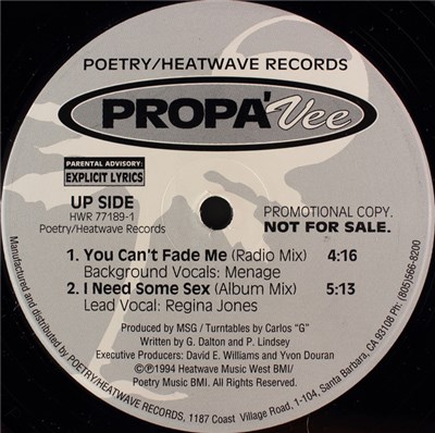 Propa' Vee - You Can't Fade Me download mp3 flac