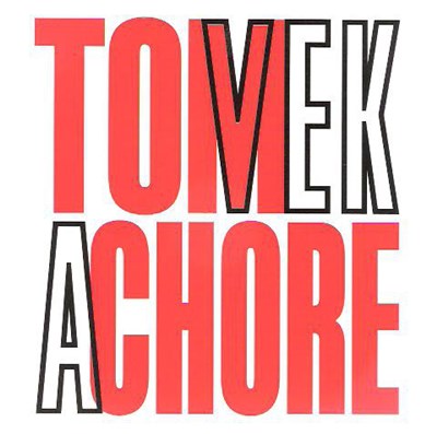 Tom Vek - A Chore download mp3 flac