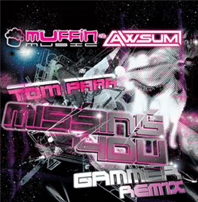 Tom Parr / Gammer - Missing You (Gammer Remix) / N+ download mp3 flac