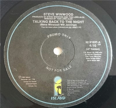 Steve Winwood - Talking Back To The Night download mp3 flac