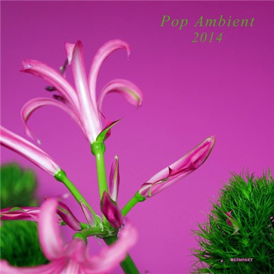 Various - Pop Ambient 2014 download mp3 flac