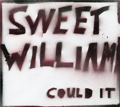 Sweet William - Could It download mp3 flac