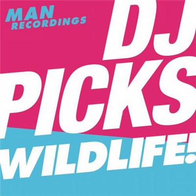 Wildlife! - DJ Picks #3 download mp3 flac