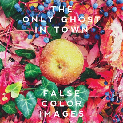 The Only Ghost In Town - False Color Images download mp3 flac