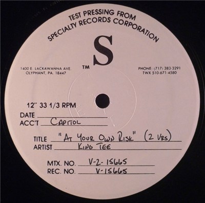 King Tee - At Your Own Risk (Remixes) download mp3 flac