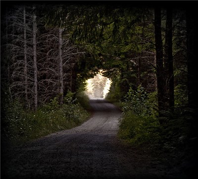 The Flashbulb - Love As A Dark Hallway download mp3 flac