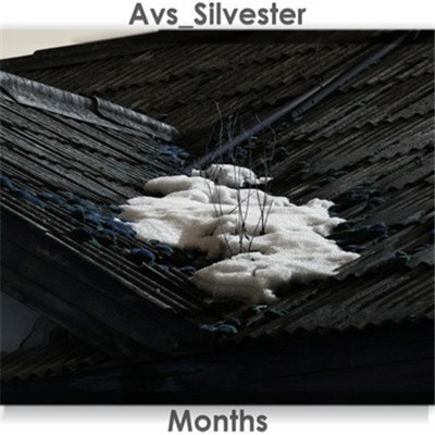 Avs_Silvester - Months download mp3 flac