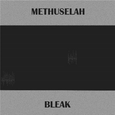 Methuselah - Bleak download mp3 flac