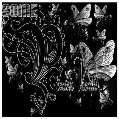 Pizdets Vsemu - Some download mp3 flac