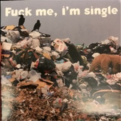 Various - Fuck Me, I'm Single download mp3 flac